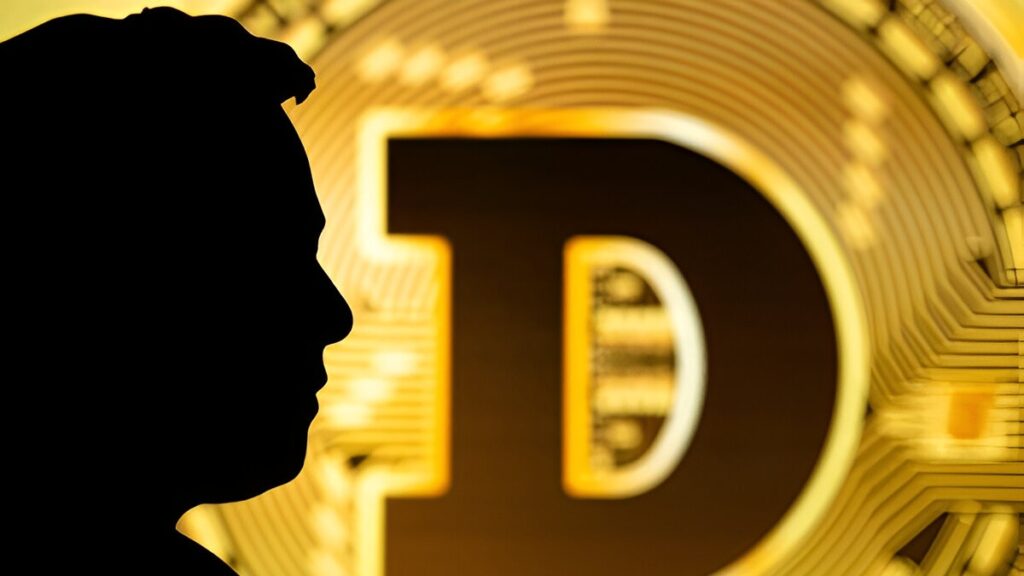 Elon Musk's influence on the Dogecoin